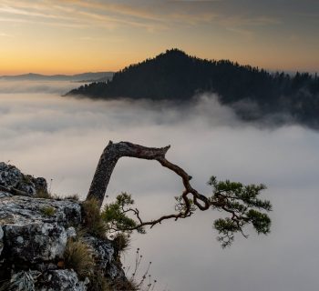 Jak zobaczyć najpiękniejsze szlaki i atrakcje w Pieninach w jeden weekend? Pełen plan!