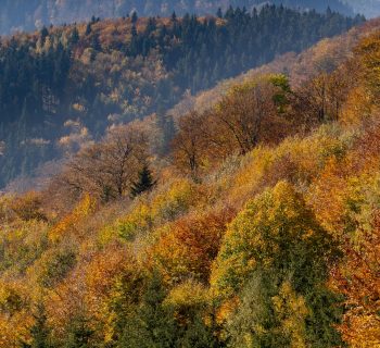 Gdzie pojechać jesienią w Polsce? 13 pomysłów na weekend i nie tylko!