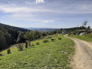 Mały Szlak Beskidzki - Beskid Makowski