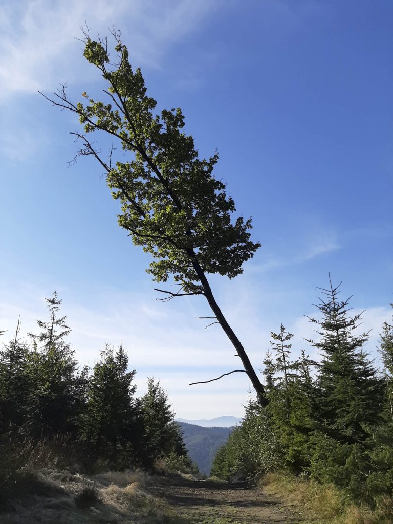 Beskid Mały - Mały Szlak Beskidzki