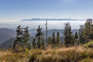 Turbacz - widok na Tatry