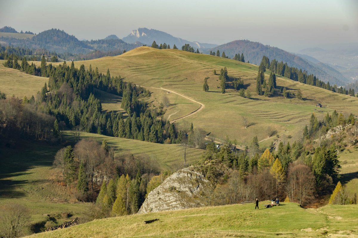 szlak na wysoką