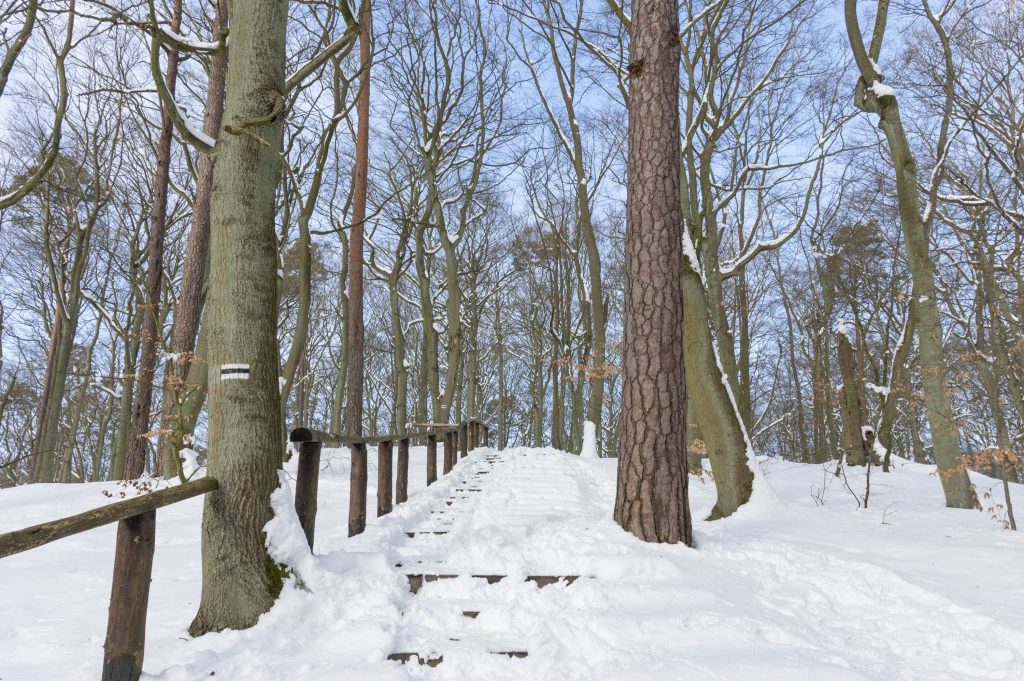 Woliński park narodowy zimą
