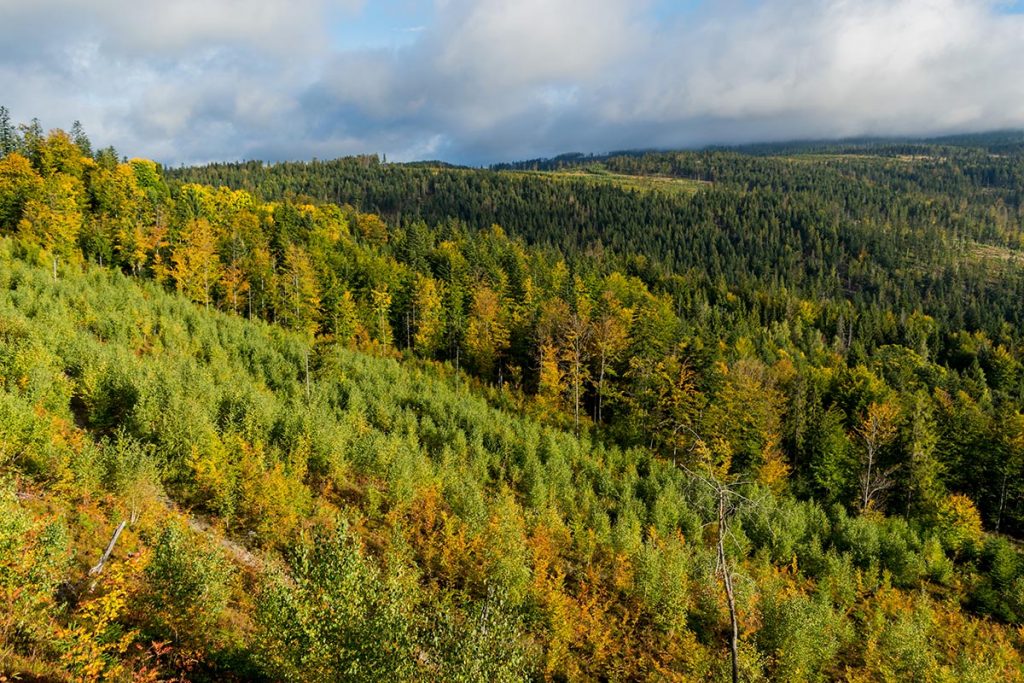 szlak z Koniakowa - panorama