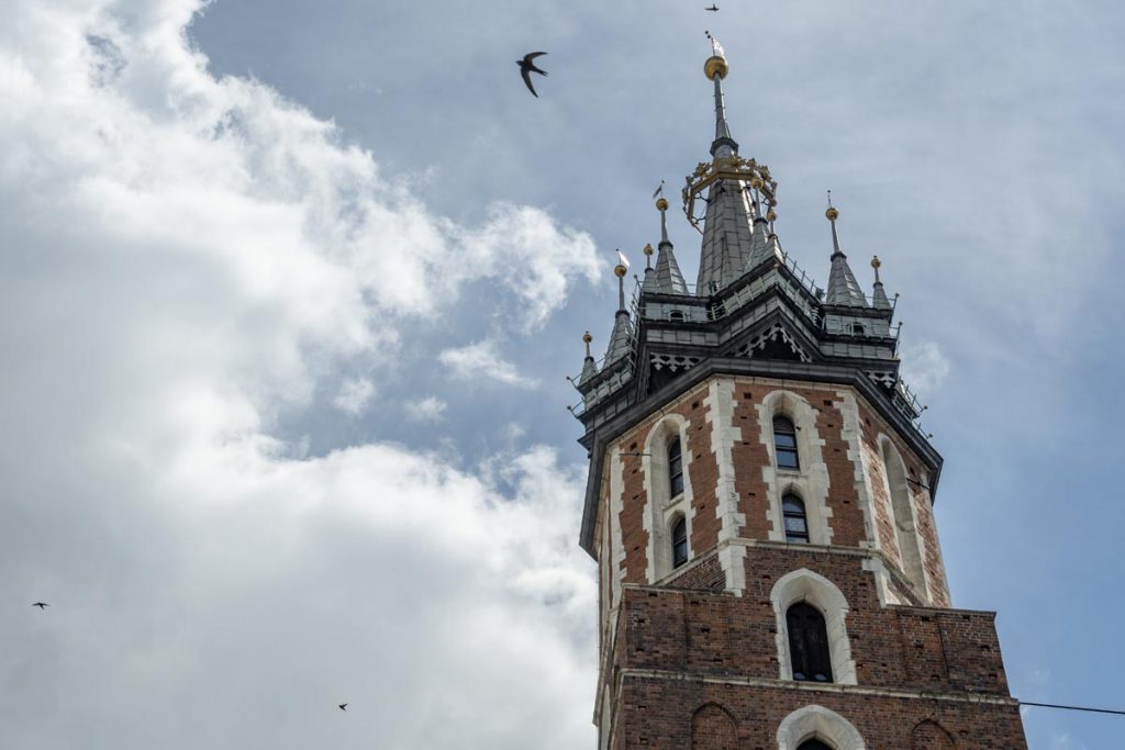 wieża hejnalica stare miasto kraków