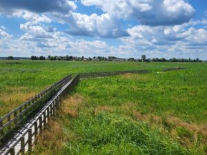 atrakcje podlasie narwiański pn