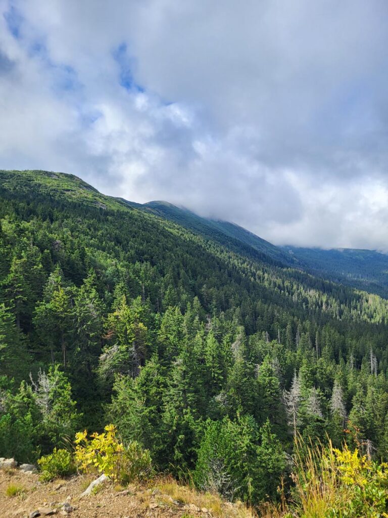 Babia Góra - widok z Sokolicy