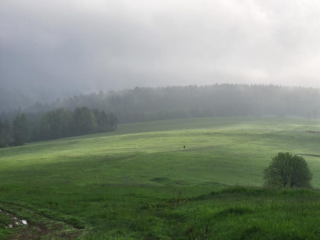 główny szlak beskidzki