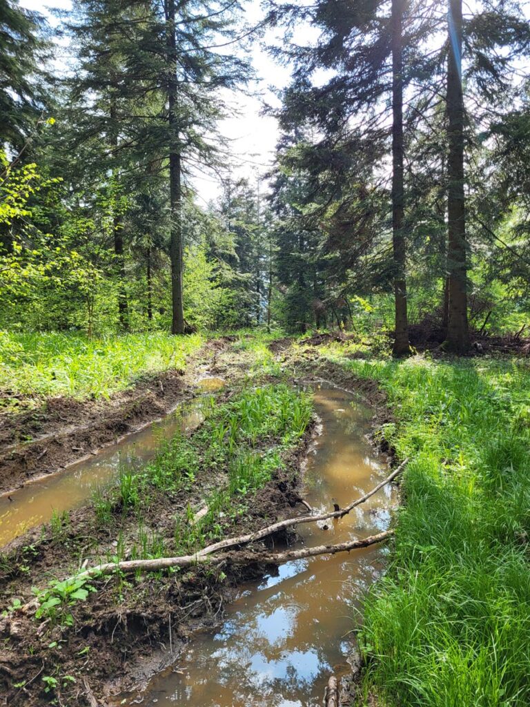 zejście do Komańczy - błoto