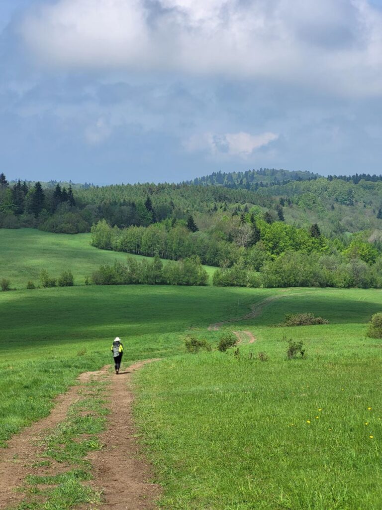 relacja Główny Szlak Beskidzki - Beskid Niski