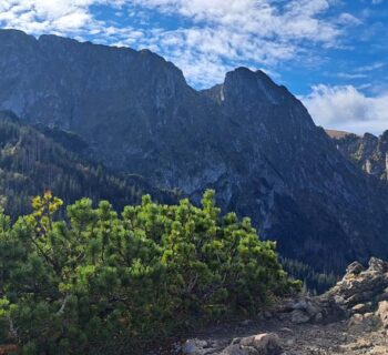 Szlak na Sarnią Skałę. Którą trasę na ten malowniczy szczyt wybrać?