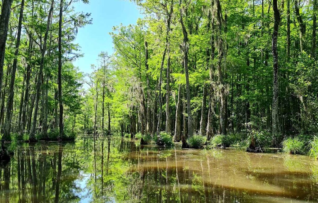 ujście warty gdzie na weekend w Polsce